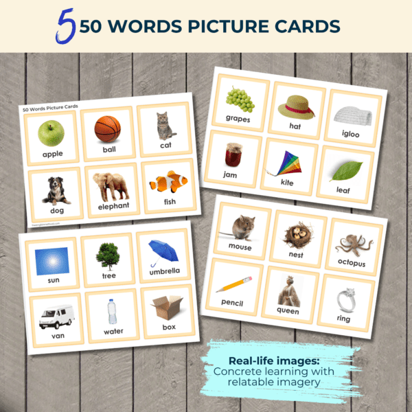 English Language Discovery Kit - LEVEL 1 - Image 9
