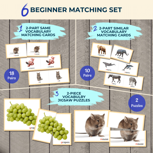 English Language Discovery Kit - LEVEL 1 - Image 10