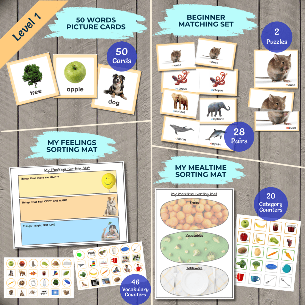 English Language Discovery Kit – LEVEL 1 - theenglishmethod.com
