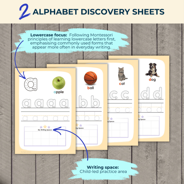 English Language Discovery Kit - LEVEL 1 - Image 6