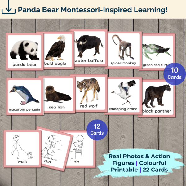 Animals and Action Verbs Picture Cards