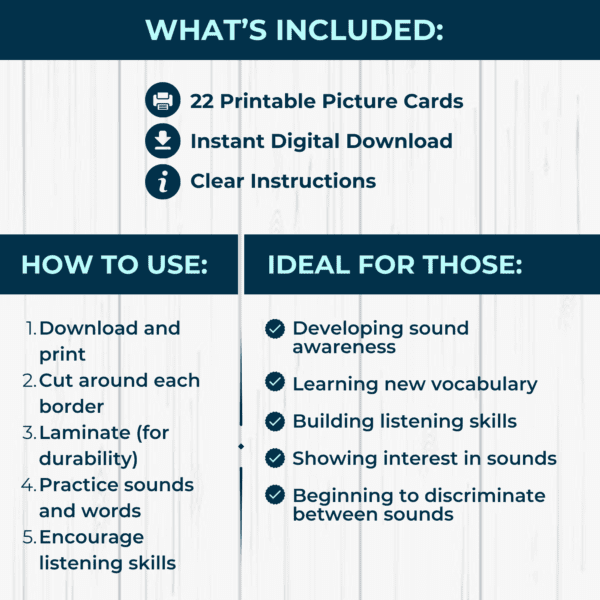 Vocabulary Picture Cards - Image 2