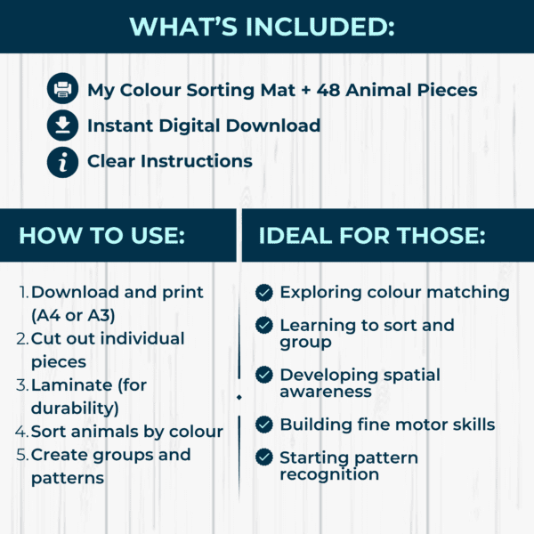 My Colour Sorting Mat - Image 2