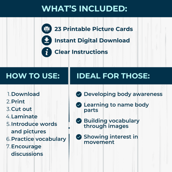 Animals and Body Parts Picture Cards - Image 3
