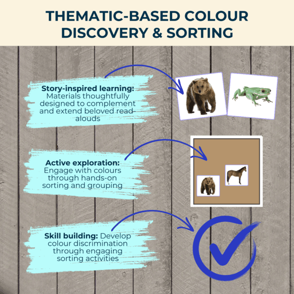 My Colour Sorting Mat - Image 3