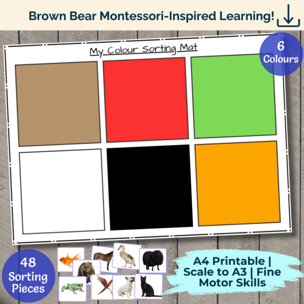 My Colour Sorting Mat