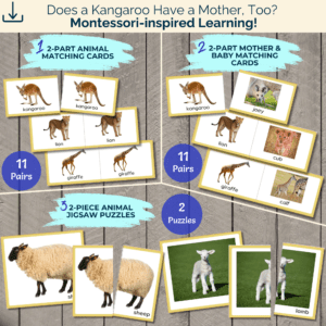 Beginner Matching Set