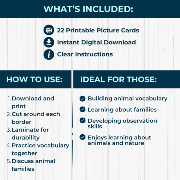 Mother & Baby Picture Cards - Image 2