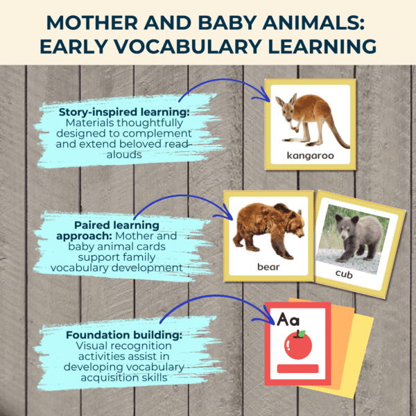 Mother & Baby Picture Cards - Image 3