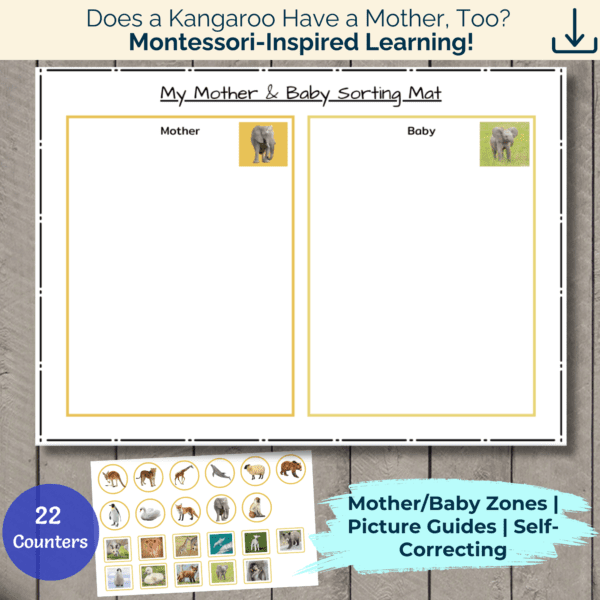 My Mother & Baby Sorting Mat
