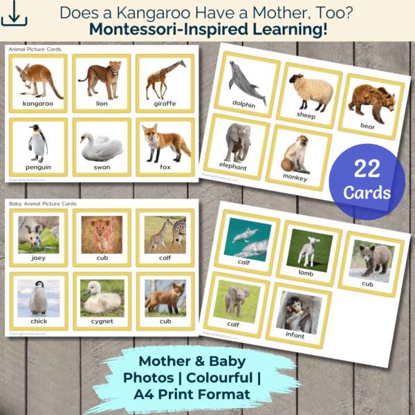Mother & Baby Picture Cards