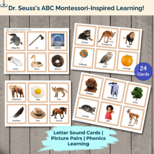 Vocabulary Picture Cards