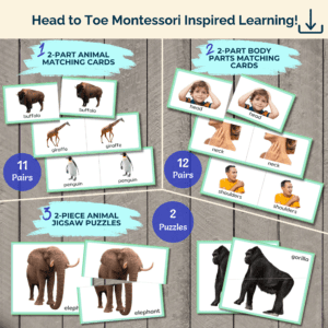 Beginner Matching Set