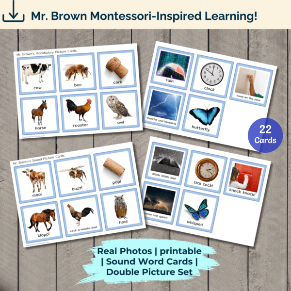 Vocabulary Picture Cards