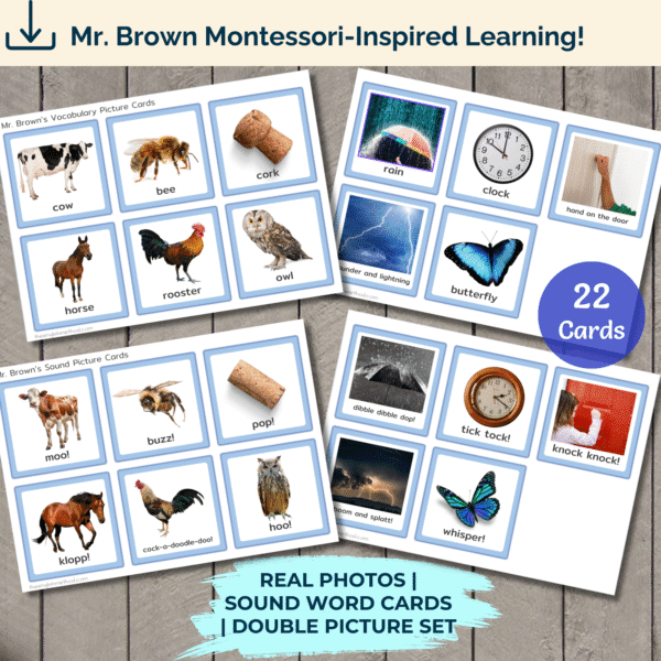 Vocabulary Picture Cards
