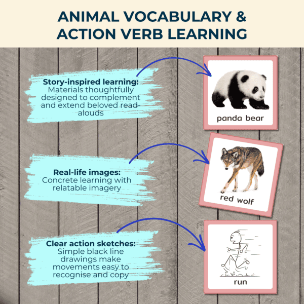 Animals and Action Verbs Picture Cards - Image 3