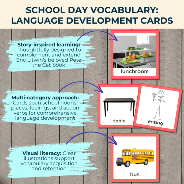 Vocabulary Picture Cards - Image 3