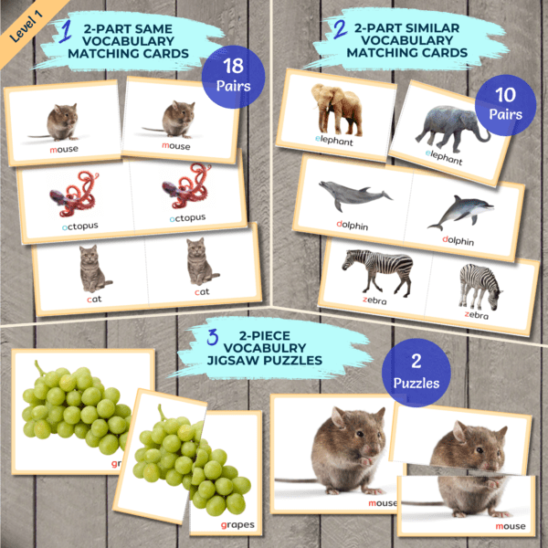 Beginner Matching Set