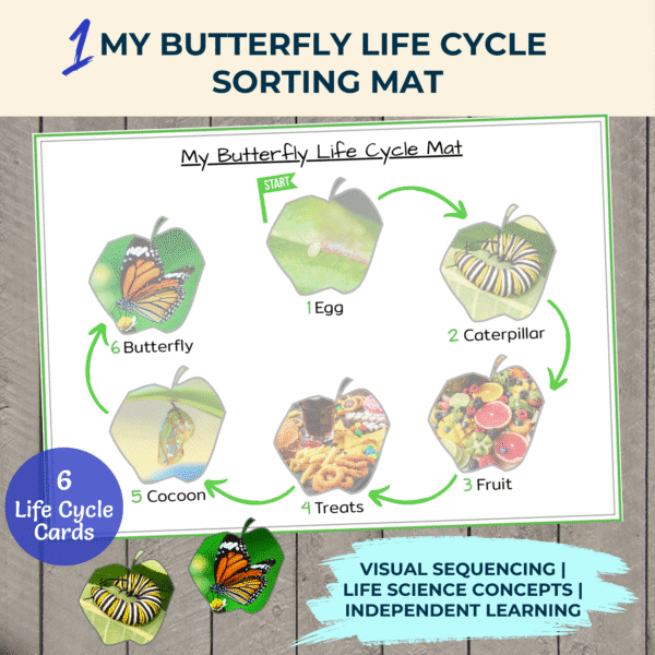 Life Cycle & Food Sorting Mats - Image 4