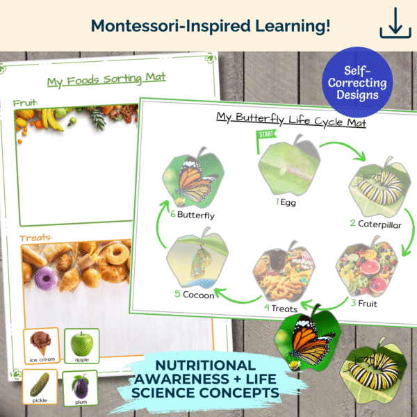 Life Cycle & Food Sorting Mats