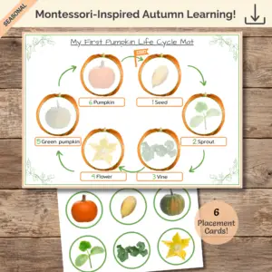 My First Pumpkin Life Cycle Mat