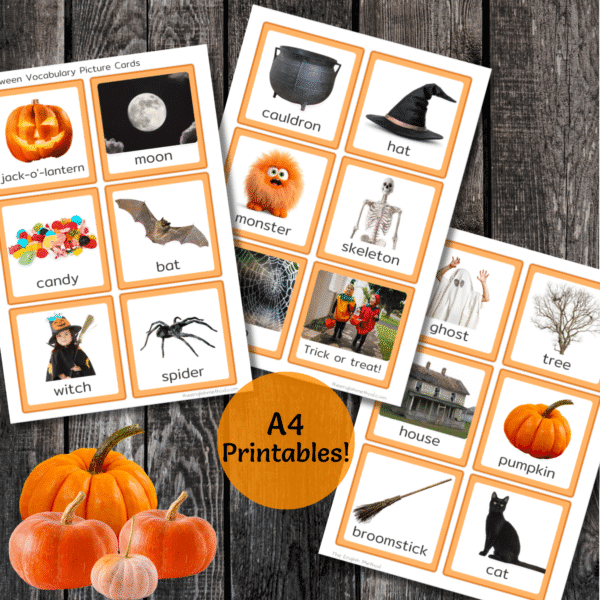 Halloween Vocabulary Picture Cards - Image 5