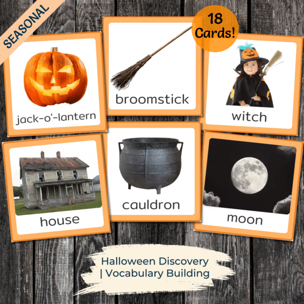 Halloween Vocabulary Picture Cards