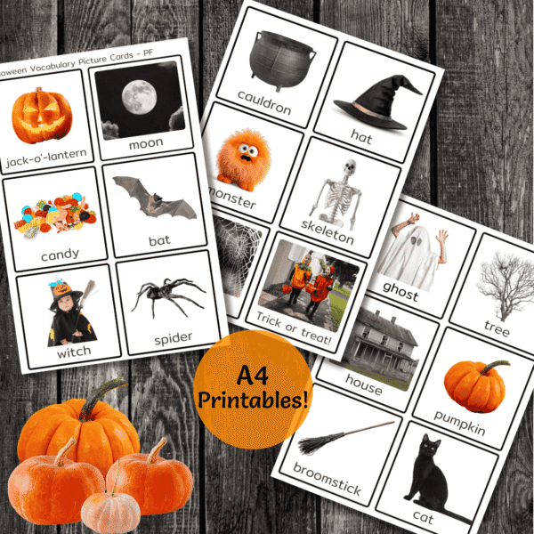 Halloween Vocabulary Picture Cards - PF - Image 3
