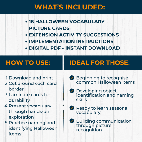 Halloween Vocabulary Picture Cards - PF - Image 2