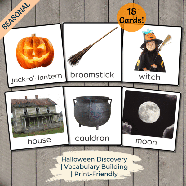 Halloween Vocabulary Picture Cards - PF