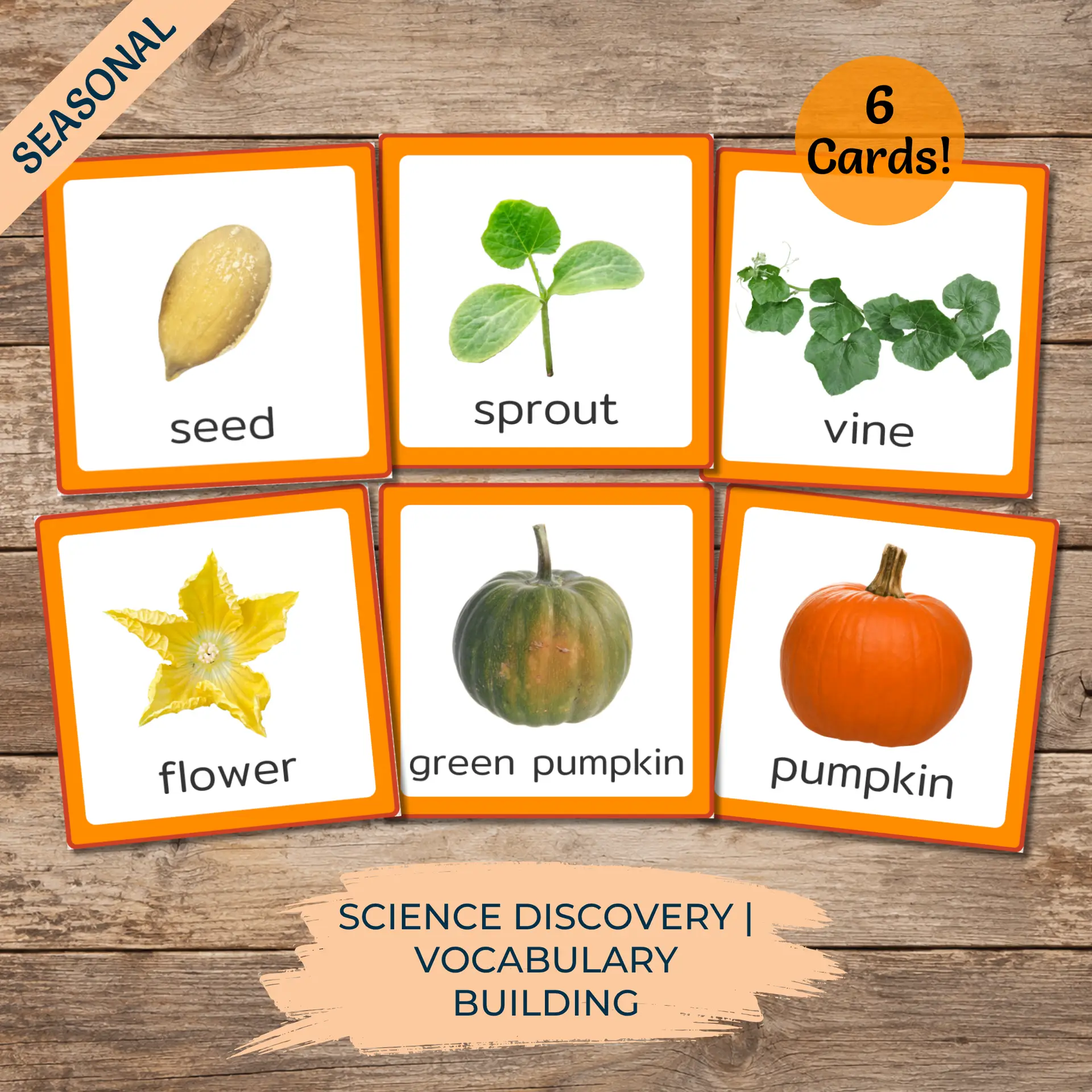 Pumpkin Life Cycle Cards