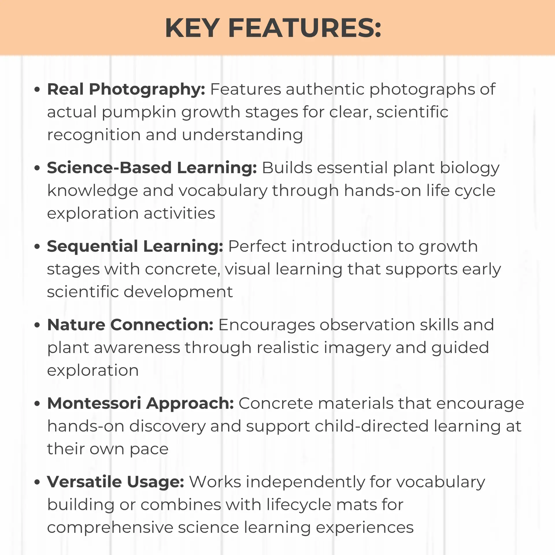 Pumpkin Life Cycle Cards - Image 4