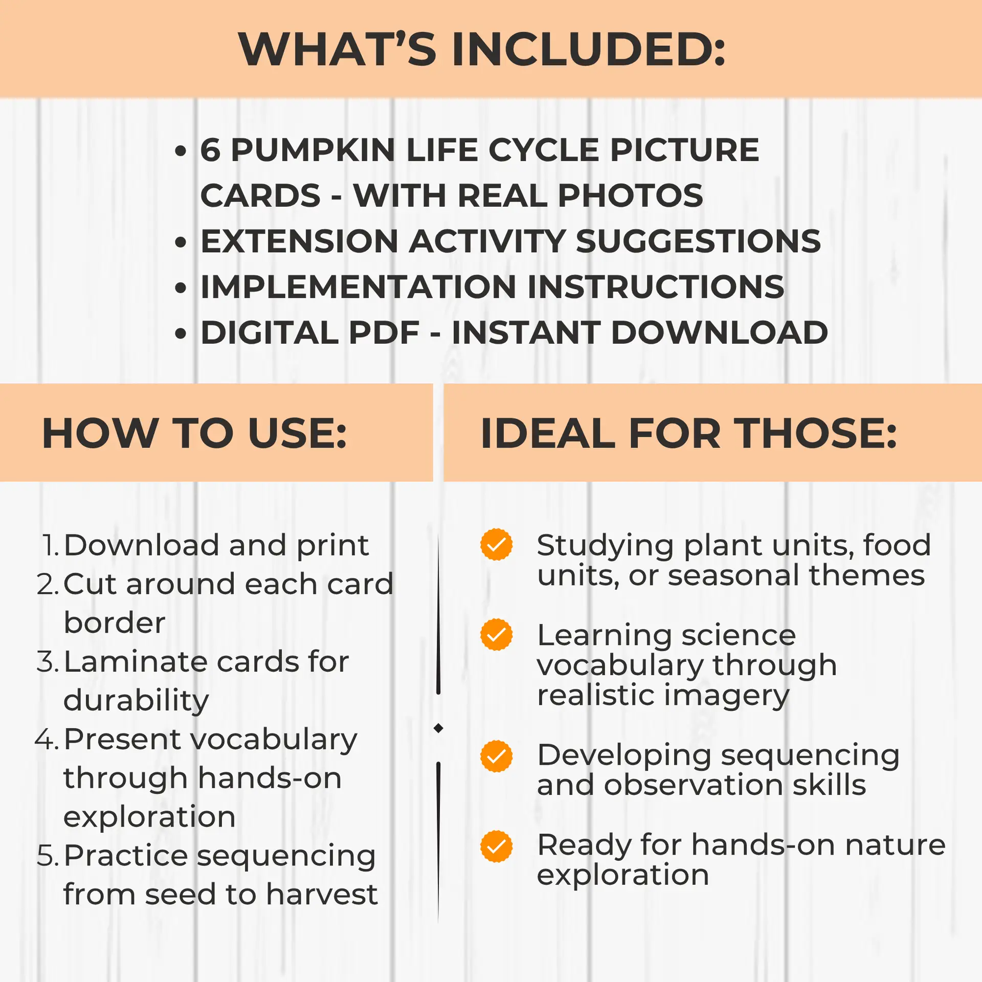 Pumpkin Life Cycle Cards - Image 2