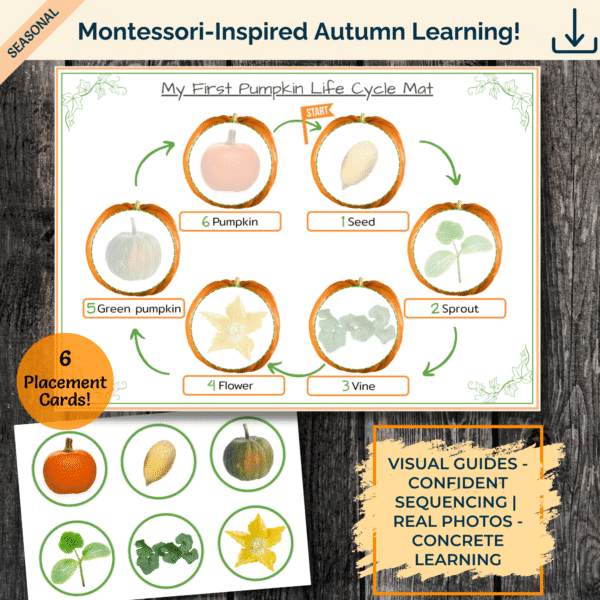 My First Pumpkin Life Cycle Mat