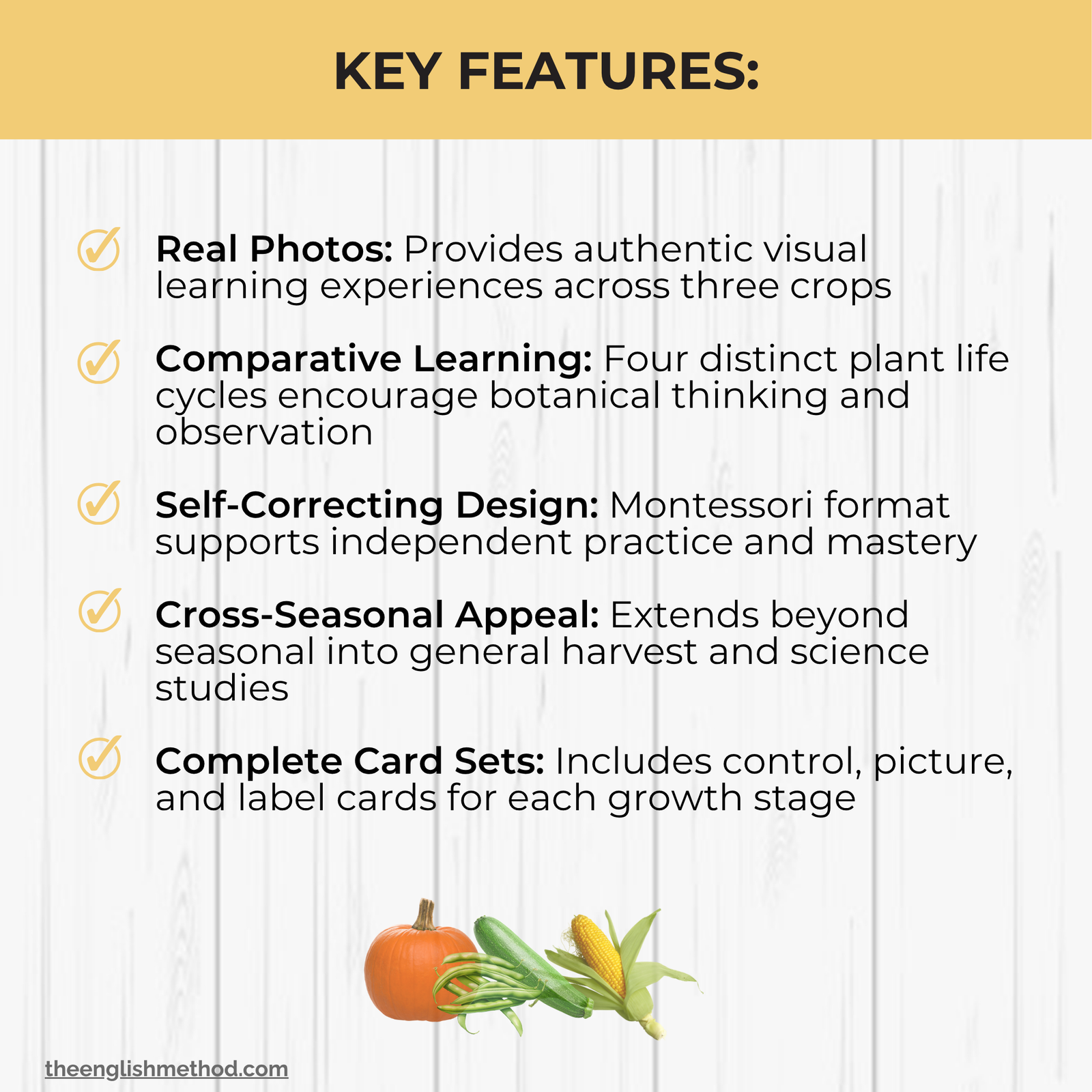 Autumn Harvest Life Cycle 3-Part Cards Bundle - Image 4