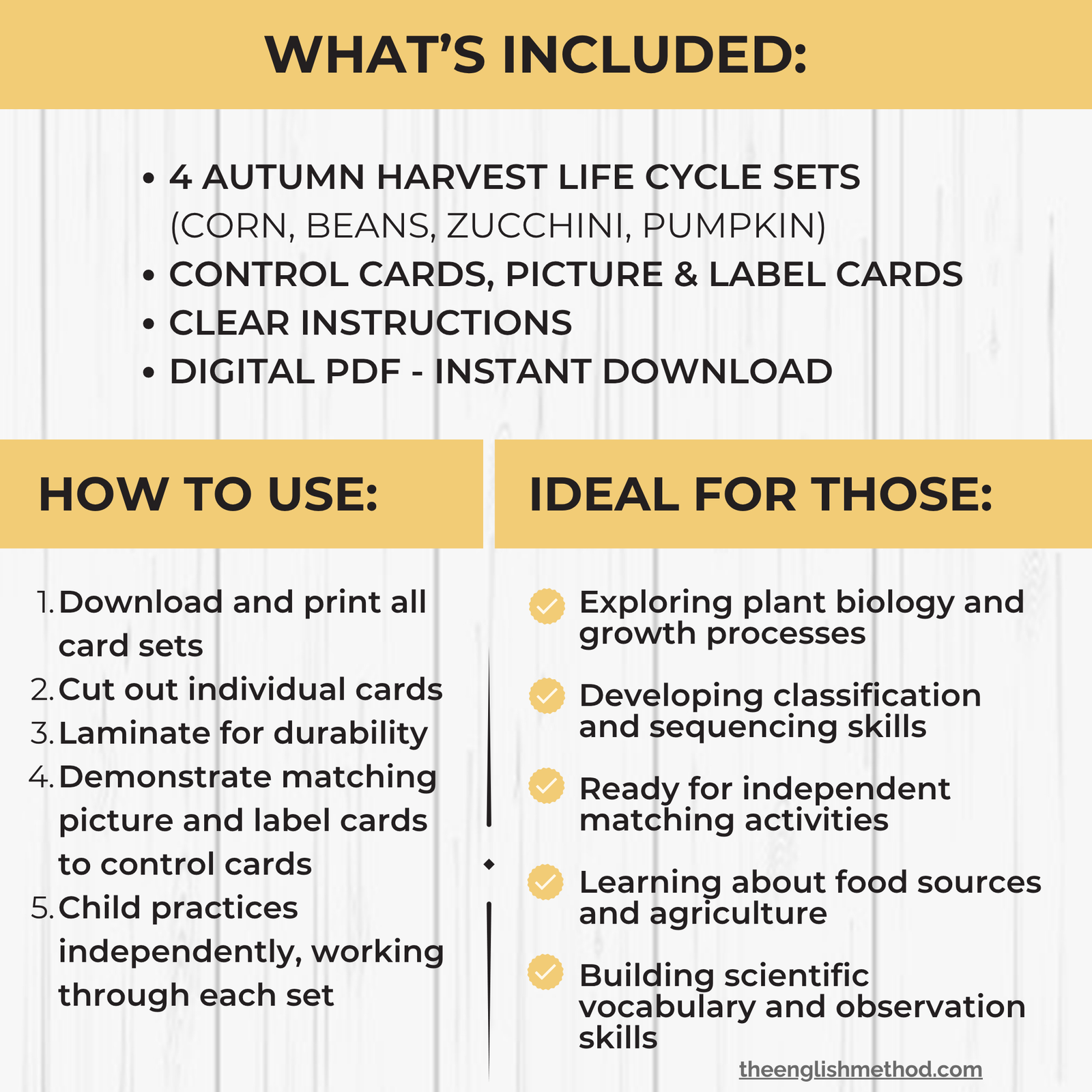 Autumn Harvest Life Cycle 3-Part Cards Bundle - Image 2