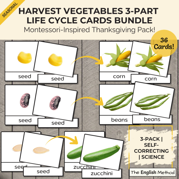 Harvest Vegetables 3-Part Life Cycle Cards Bundle