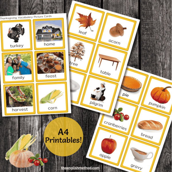 Thanksgiving Vocabulary Picture Cards - Image 4