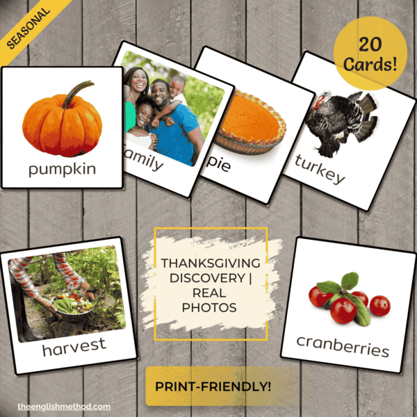 Thanksgiving Vocabulary Picture Cards - PF