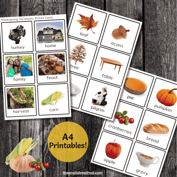 Thanksgiving Vocabulary Picture Cards - PF - Image 4