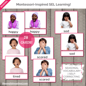 Feelings & Emotions 3-Part Cards