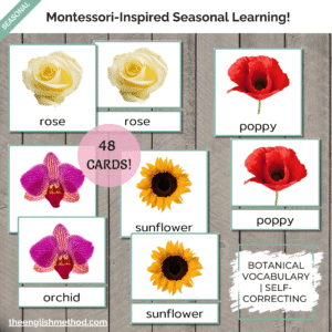 Flowers 3-Part Cards