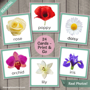 Flowers Vocabulary Picture Cards