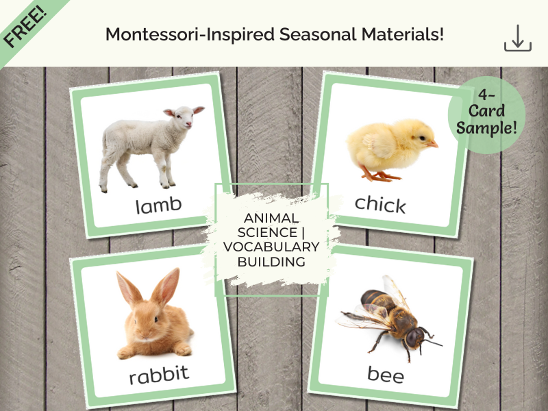 Spring Free Printables - theenglishmethod.com