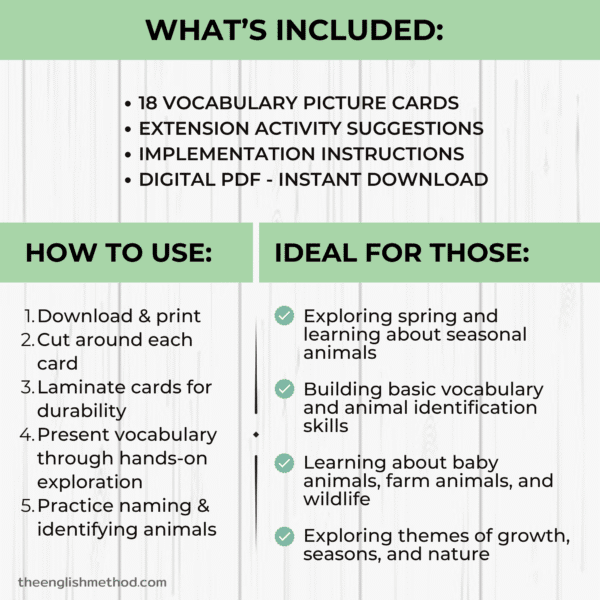 Spring Animal Fact Chart Spring Animals Vocabulary Picture Cards - theenglishmethod.com