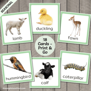 Spring Animals Vocabulary Picture Cards