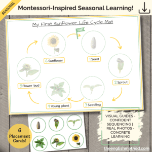 My First Sunflower Life Cycle Mat