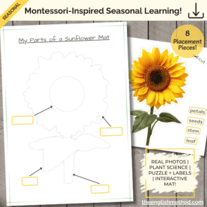 My Parts of a Sunflower Mat