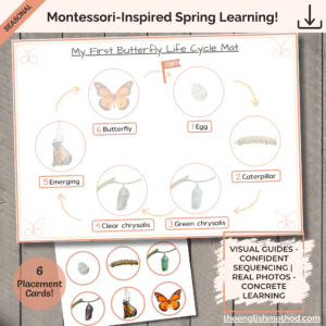 My First Butterfly Life Cycle Mat