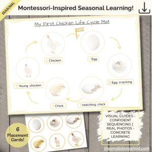My First Chicken Life Cycle Mat